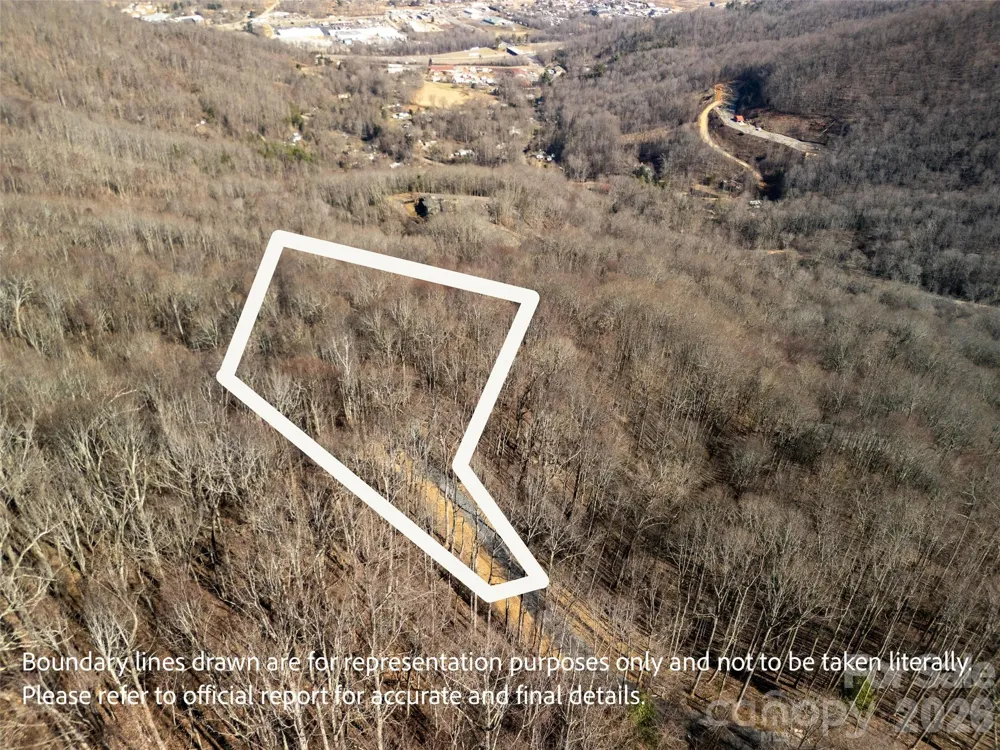 1414 Easy Wind Drive #56 Swannanoa, NC 28778