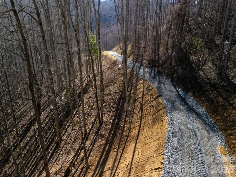 1414 Easy Wind Drive #56 Swannanoa, NC 28778