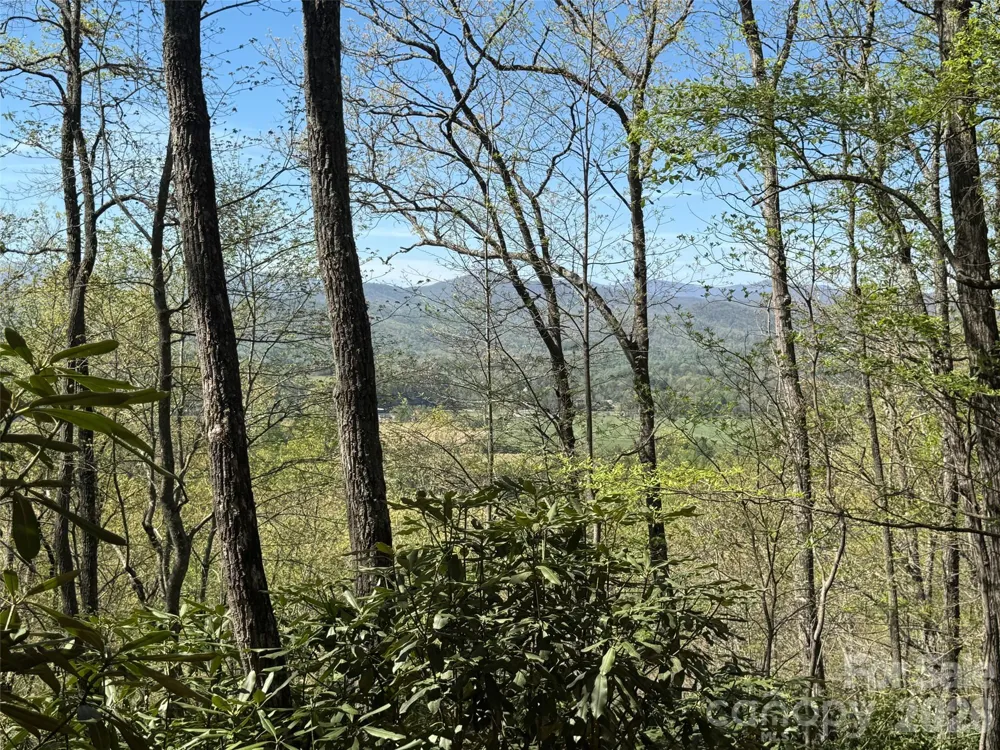 33 Reserve Road #33 Pisgah Forest, NC 28768