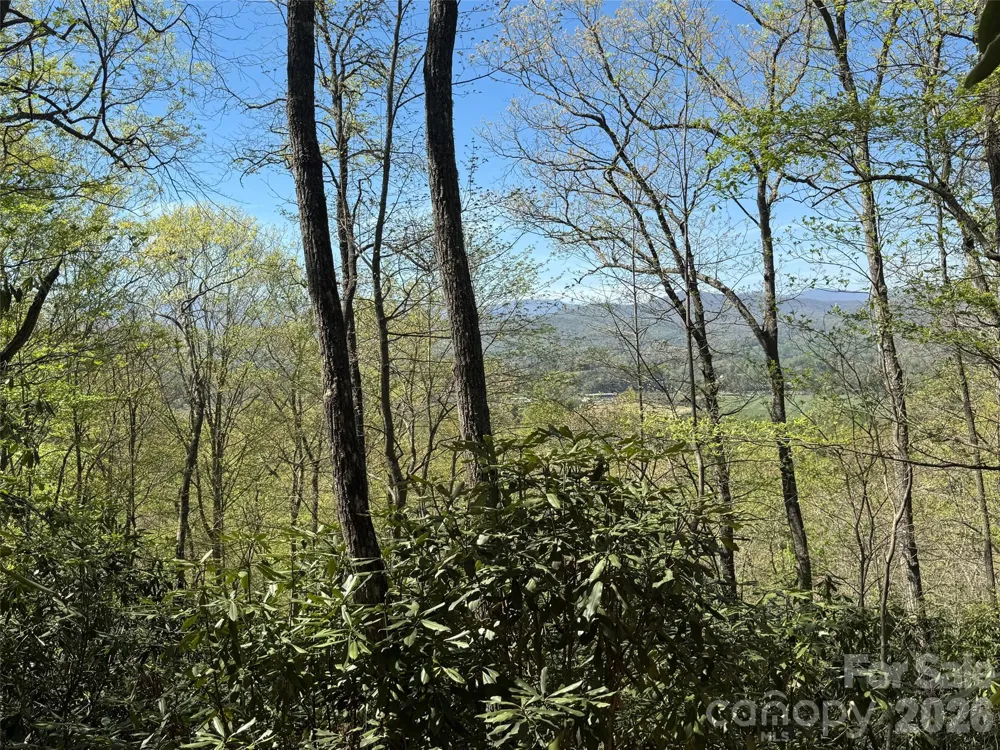33 Reserve Road #33 Pisgah Forest, NC 28768