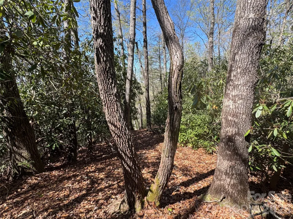 33 Reserve Road #33 Pisgah Forest, NC 28768