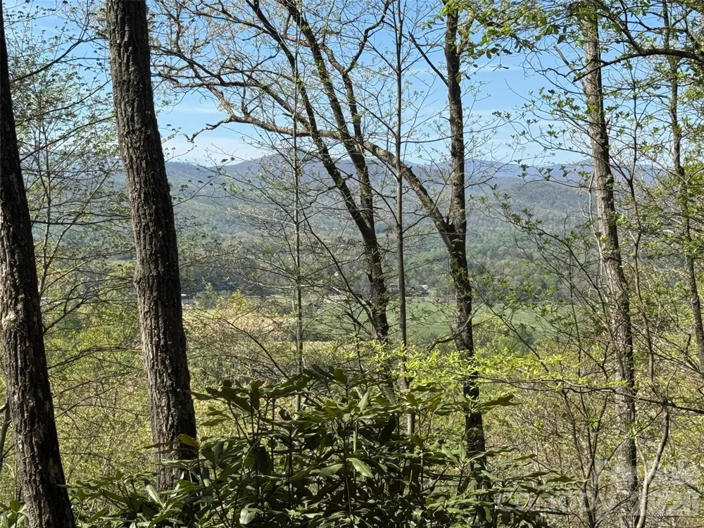 33 Reserve Road #33 Pisgah Forest, NC 28768