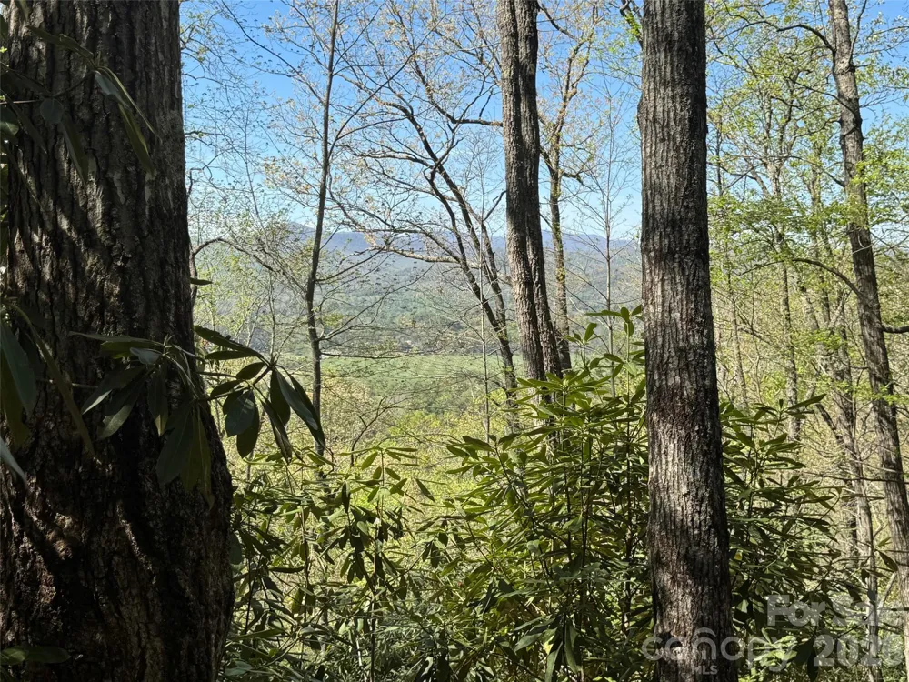 33 Reserve Road #33 Pisgah Forest, NC 28768
