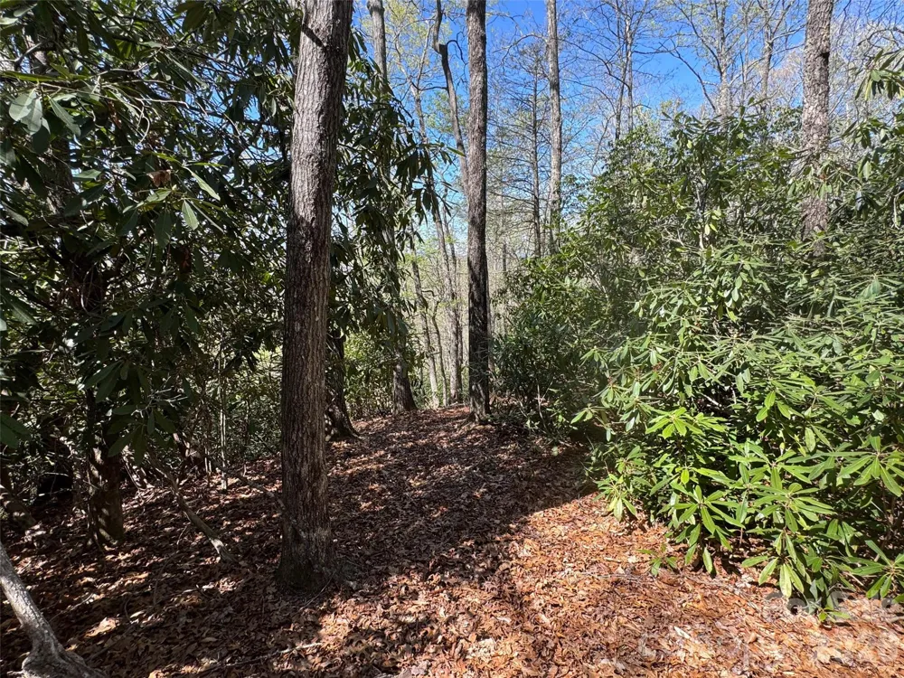 33 Reserve Road #33 Pisgah Forest, NC 28768