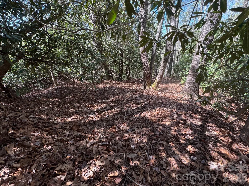 33 Reserve Road #33 Pisgah Forest, NC 28768