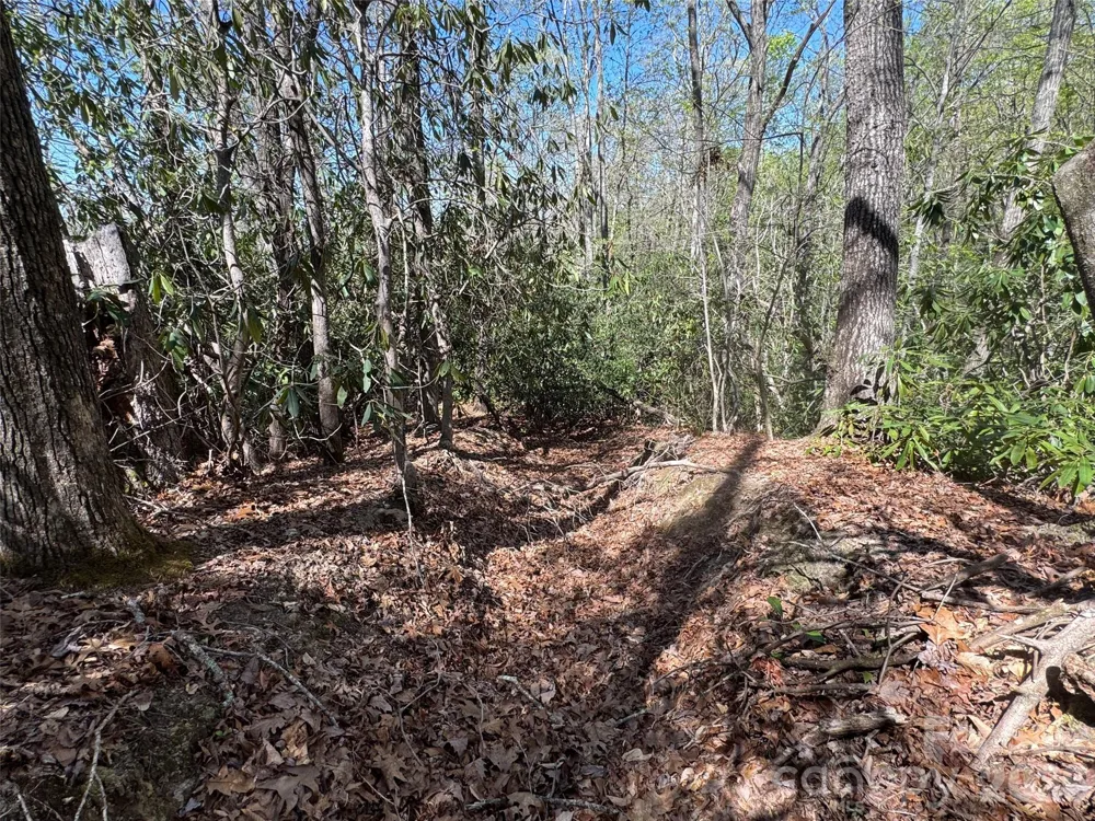 33 Reserve Road #33 Pisgah Forest, NC 28768