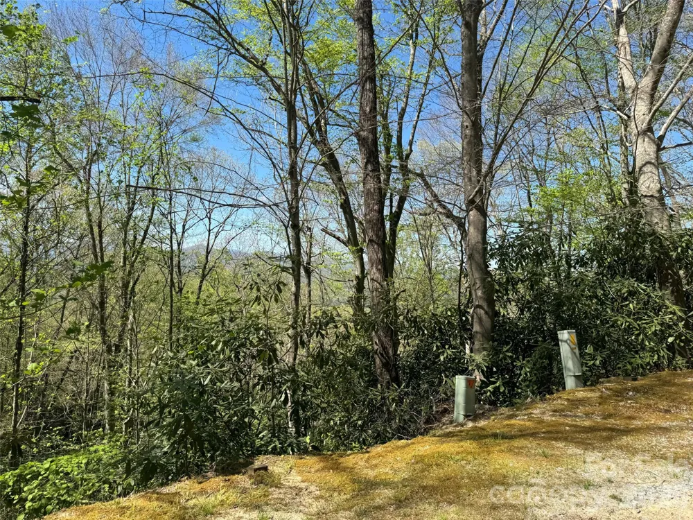 33 Reserve Road #33 Pisgah Forest, NC 28768