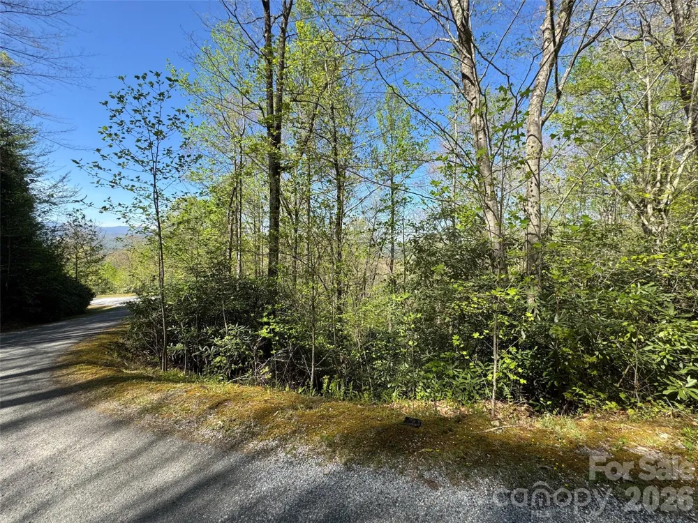 33 Reserve Road #33 Pisgah Forest, NC 28768