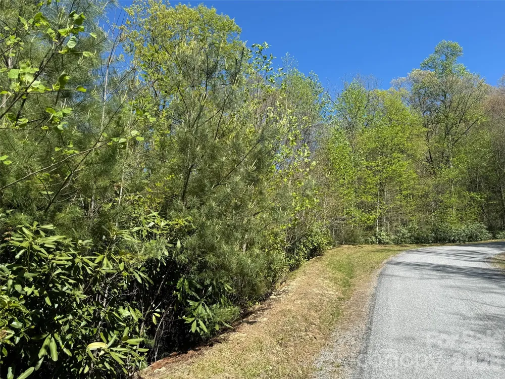33 Reserve Road #33 Pisgah Forest, NC 28768