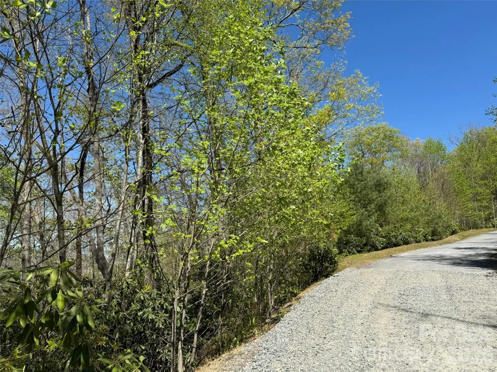 33 Reserve Road #33 Pisgah Forest, NC 28768