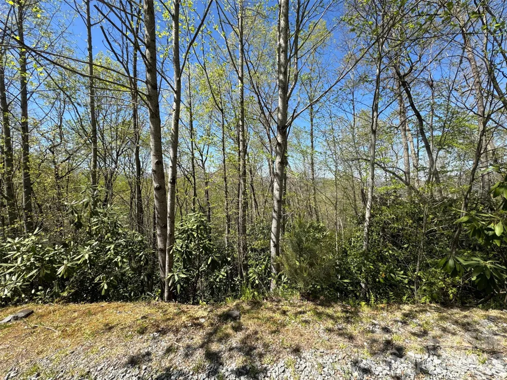 33 Reserve Road #33 Pisgah Forest, NC 28768
