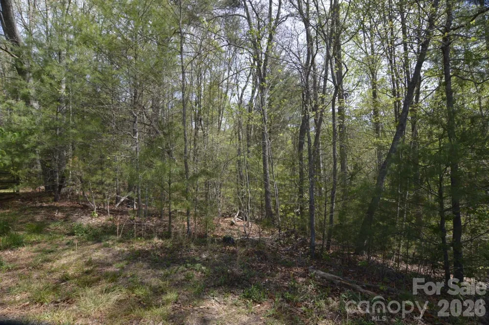 00 Garnet Drive Leicester, NC 28748