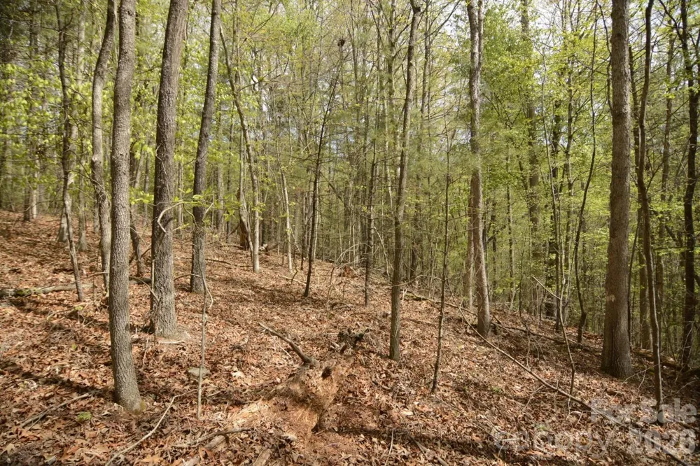 00 Garnet Drive Leicester, NC 28748