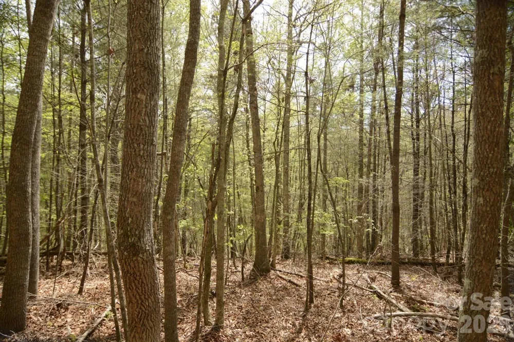 00 Garnet Drive Leicester, NC 28748