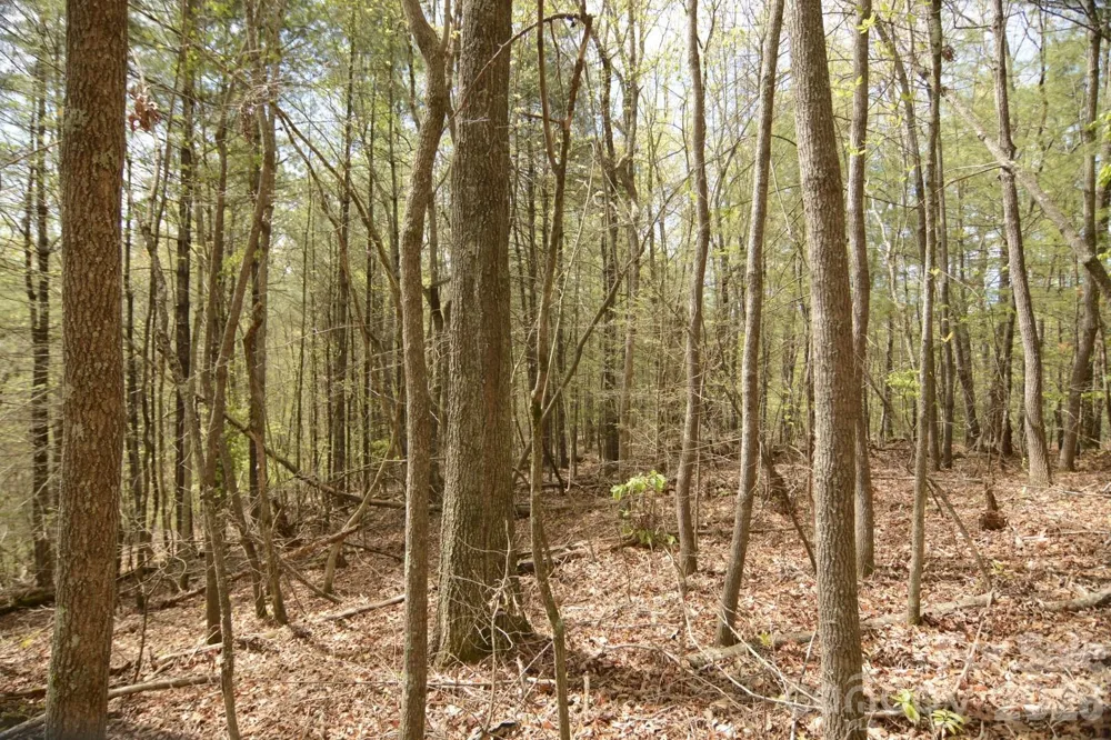 00 Garnet Drive Leicester, NC 28748