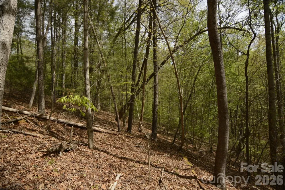 00 Garnet Drive Leicester, NC 28748