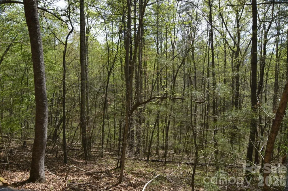 00 Garnet Drive Leicester, NC 28748