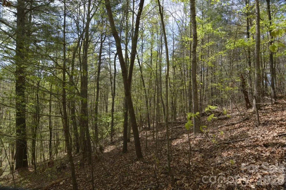 00 Garnet Drive Leicester, NC 28748