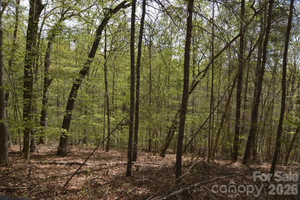 00 Garnet Drive Leicester, NC 28748