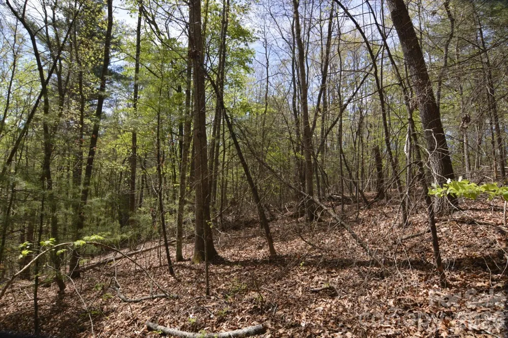 00 Garnet Drive Leicester, NC 28748