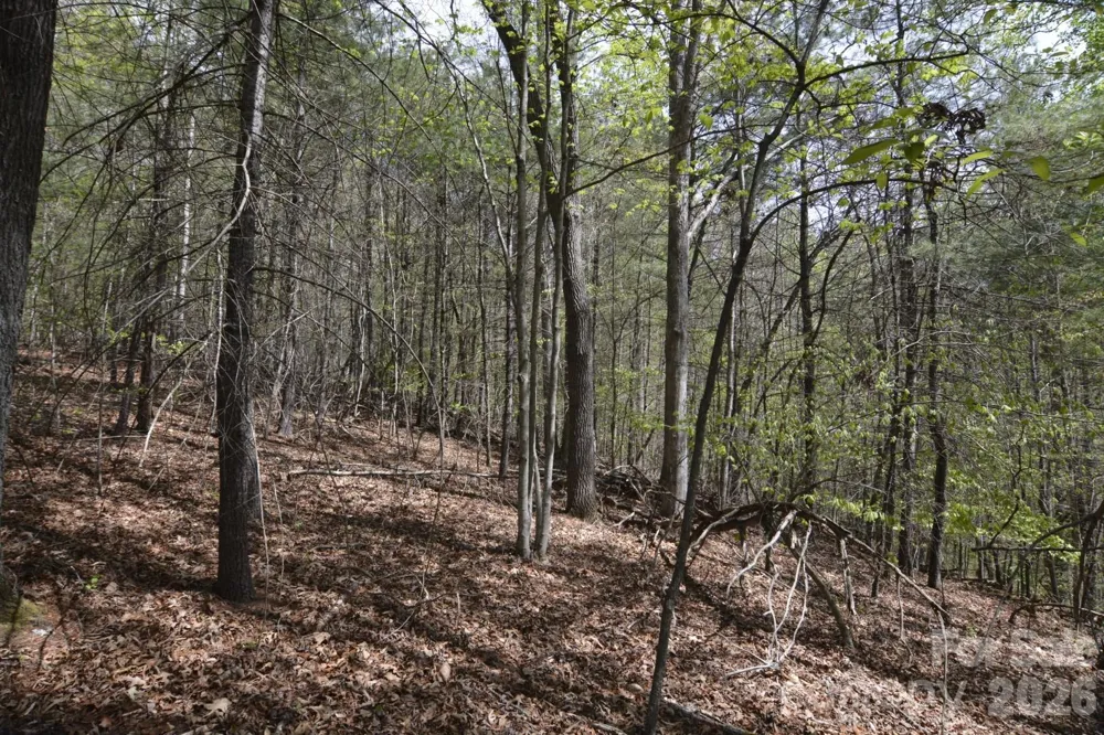 00 Garnet Drive Leicester, NC 28748