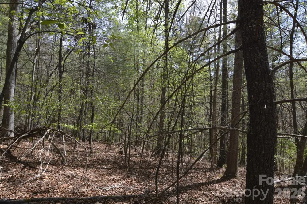 00 Garnet Drive Leicester, NC 28748