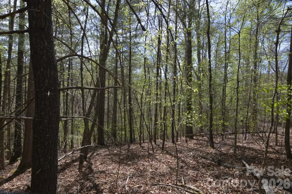 00 Garnet Drive Leicester, NC 28748