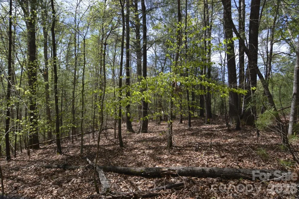 00 Garnet Drive Leicester, NC 28748