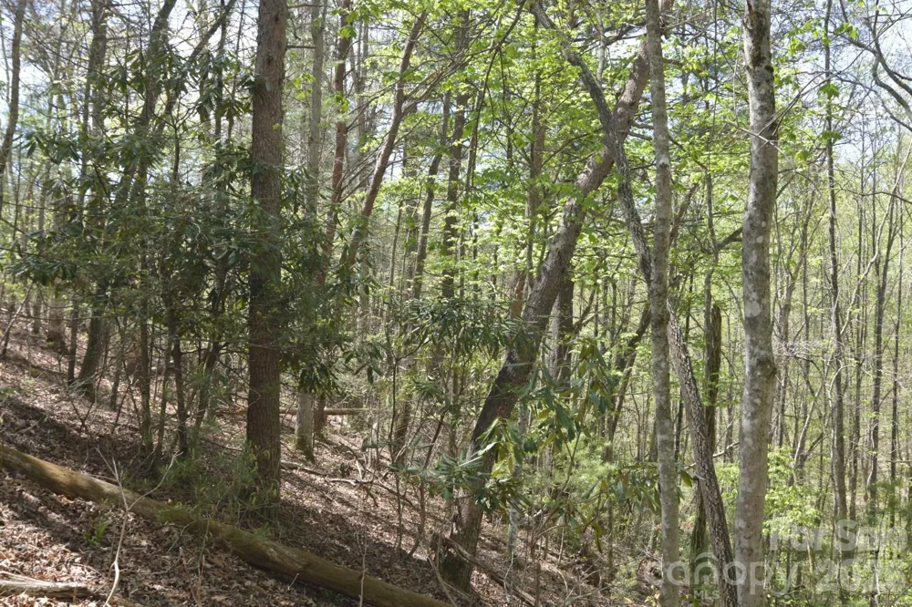 00 Garnet Drive Leicester, NC 28748