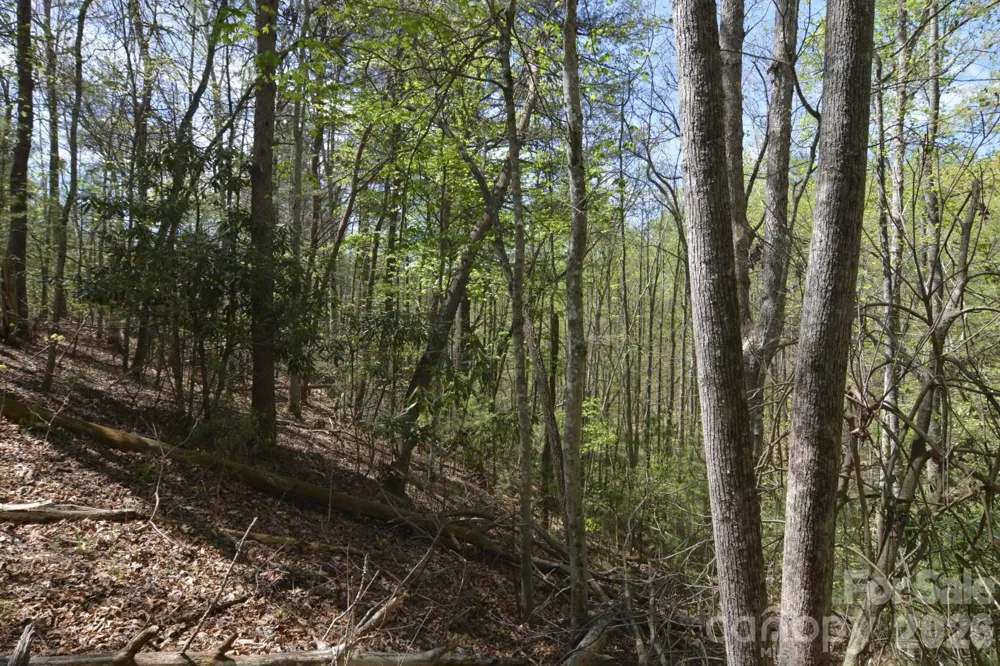 00 Garnet Drive Leicester, NC 28748
