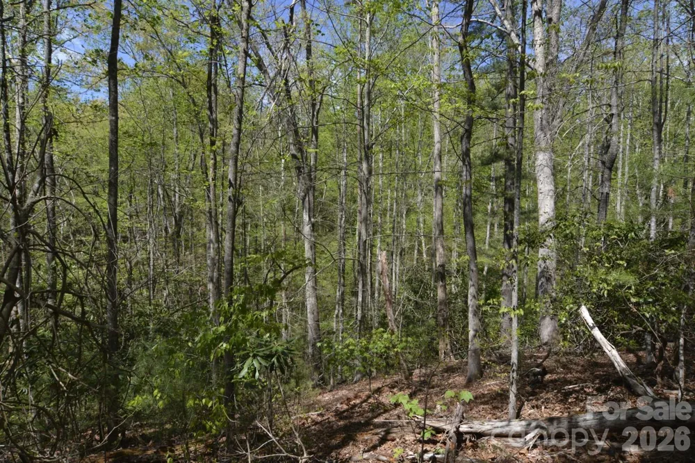 00 Garnet Drive Leicester, NC 28748
