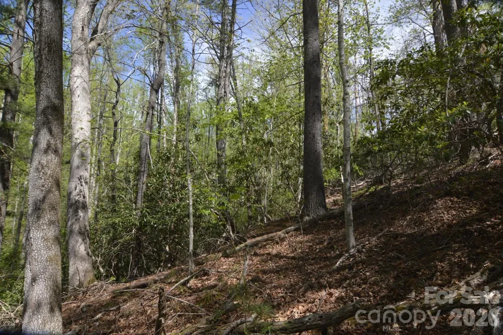 00 Garnet Drive Leicester, NC 28748