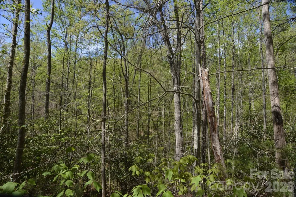 00 Garnet Drive Leicester, NC 28748