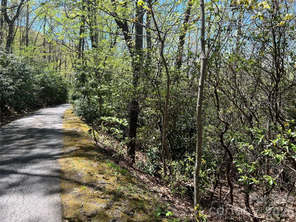 99999 Summer Haven Road Swannanoa, NC 28778