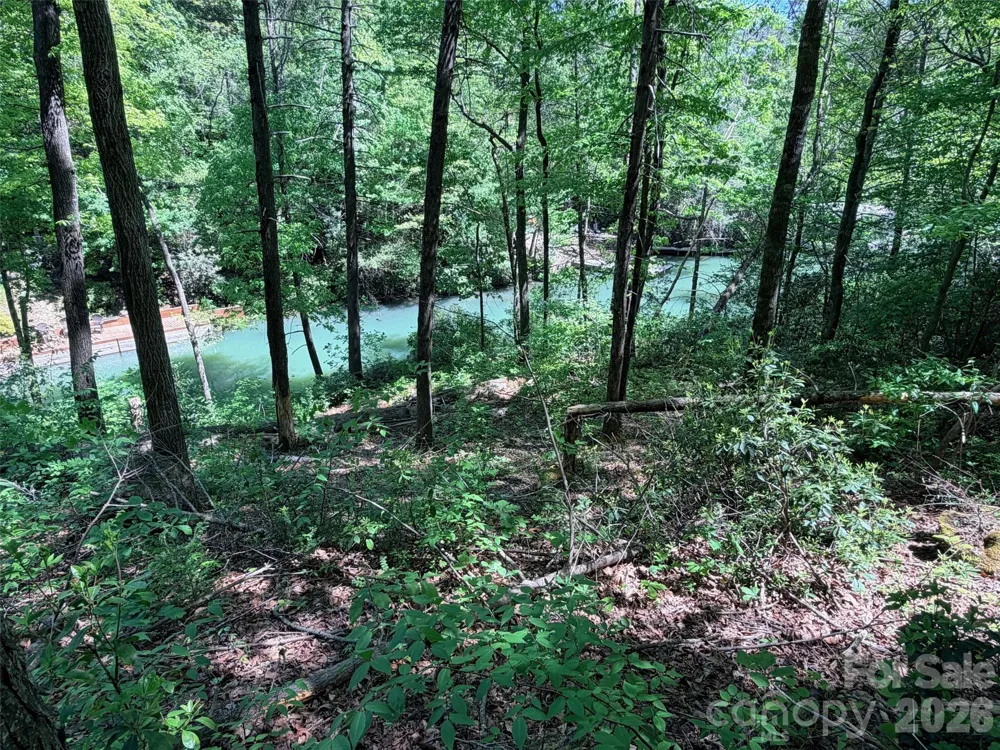 595 Quail Ridge Boulevard Lake Lure, NC 28746