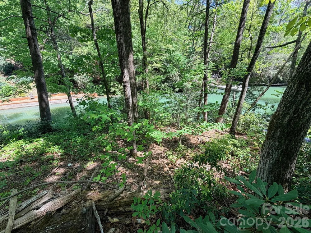 595 Quail Ridge Boulevard Lake Lure, NC 28746