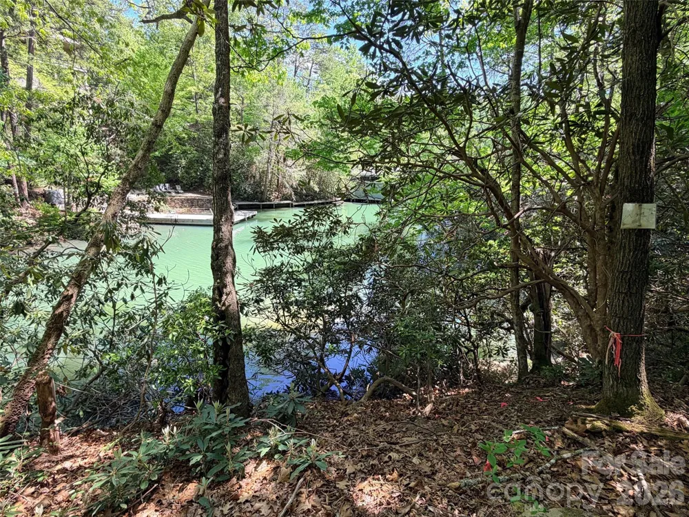 595 Quail Ridge Boulevard Lake Lure, NC 28746