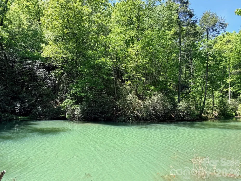 595 Quail Ridge Boulevard Lake Lure, NC 28746