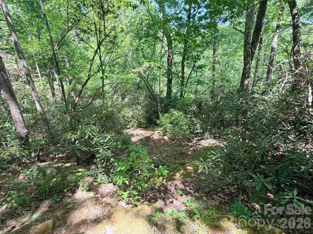 595 Quail Ridge Boulevard Lake Lure, NC 28746