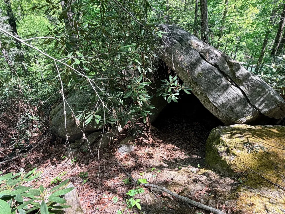 595 Quail Ridge Boulevard Lake Lure, NC 28746