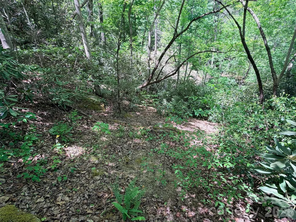 595 Quail Ridge Boulevard Lake Lure, NC 28746