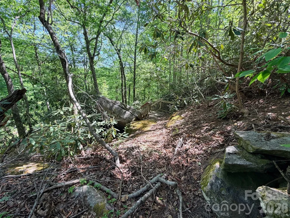 595 Quail Ridge Boulevard Lake Lure, NC 28746