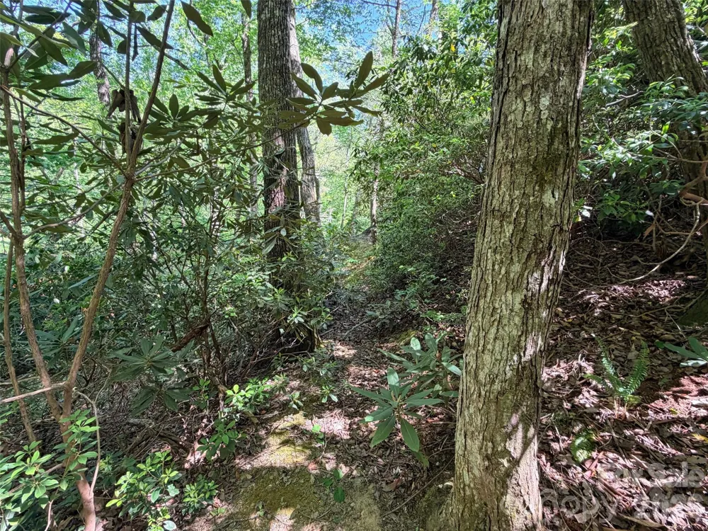 595 Quail Ridge Boulevard Lake Lure, NC 28746