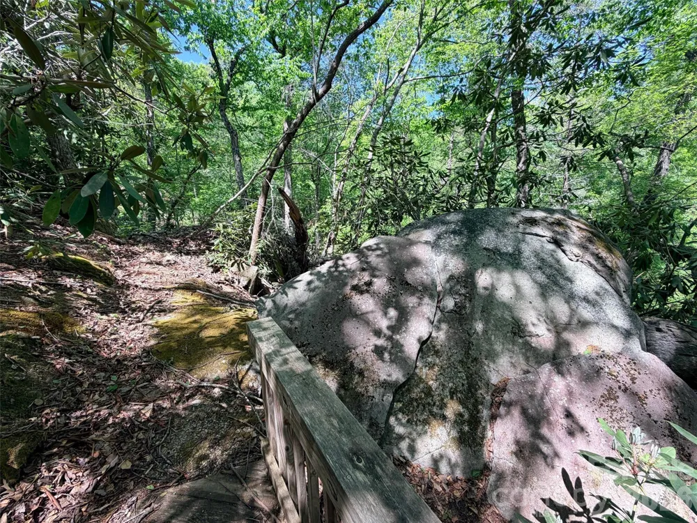 595 Quail Ridge Boulevard Lake Lure, NC 28746