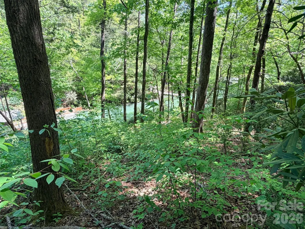 595 Quail Ridge Boulevard Lake Lure, NC 28746