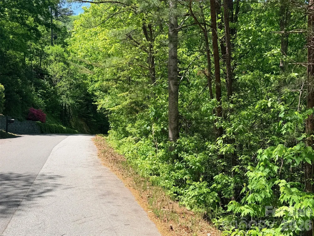 595 Quail Ridge Boulevard Lake Lure, NC 28746