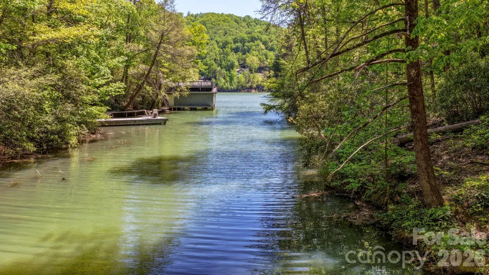 595 Quail Ridge Boulevard Lake Lure, NC 28746