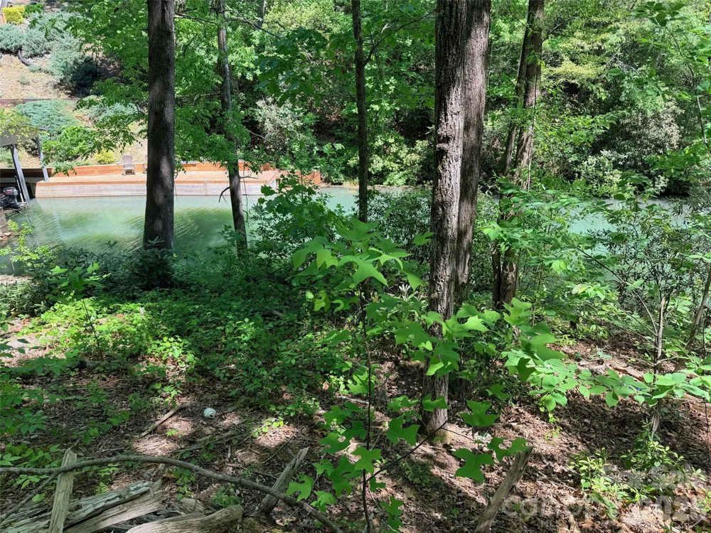 595 Quail Ridge Boulevard Lake Lure, NC 28746