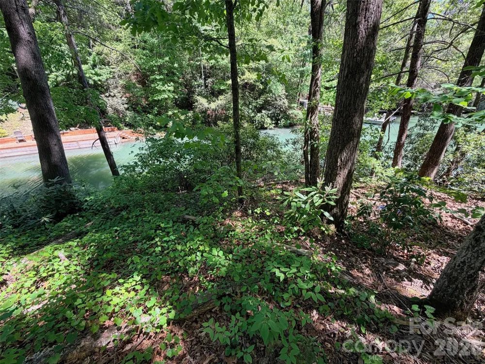 595 Quail Ridge Boulevard Lake Lure, NC 28746