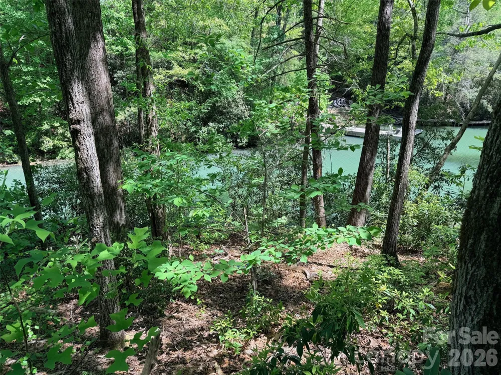 595 Quail Ridge Boulevard Lake Lure, NC 28746